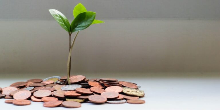 Workforce Development Fund