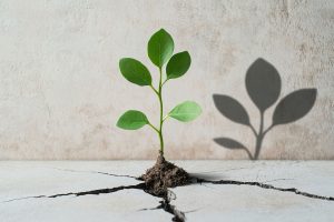 Building Resilience in Health & Social Training Course