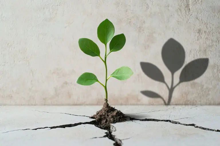 Building resilience training course