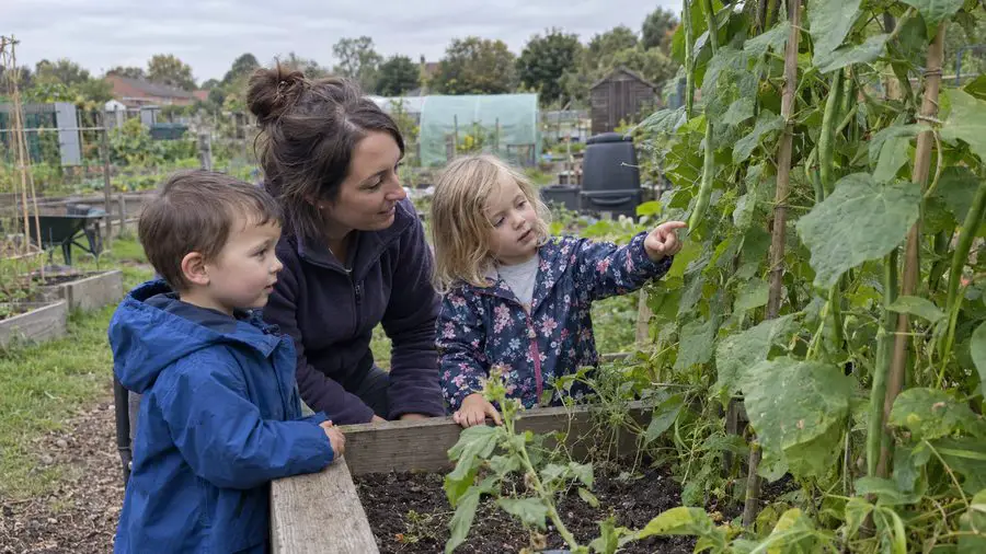 What is Community Learning in Early Years