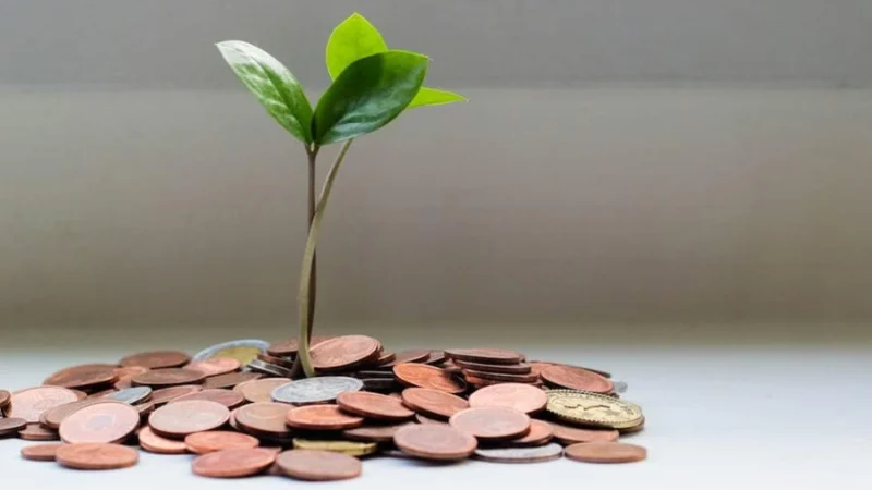 Workforce Development Fund